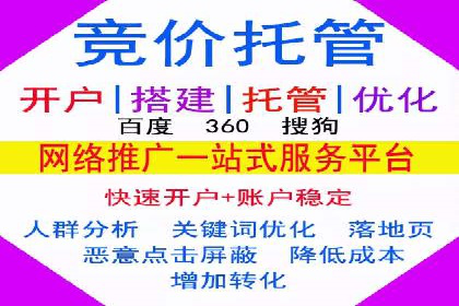 案例研究：SEM代运营服务公司的创新策略